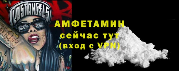 шишки Пестово