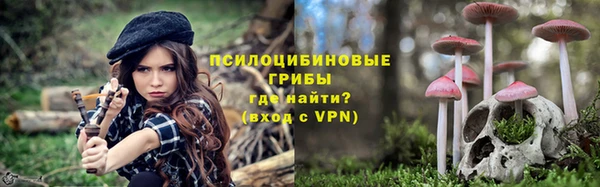 трава Абаза