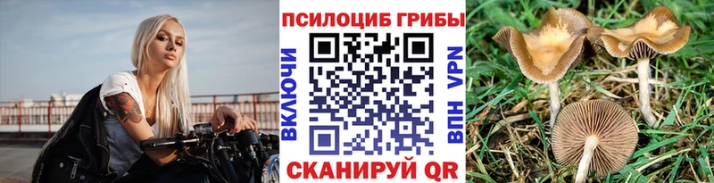 Галлюциногенные грибы Psilocybine cubensis  kraken ONION  Серафимович 